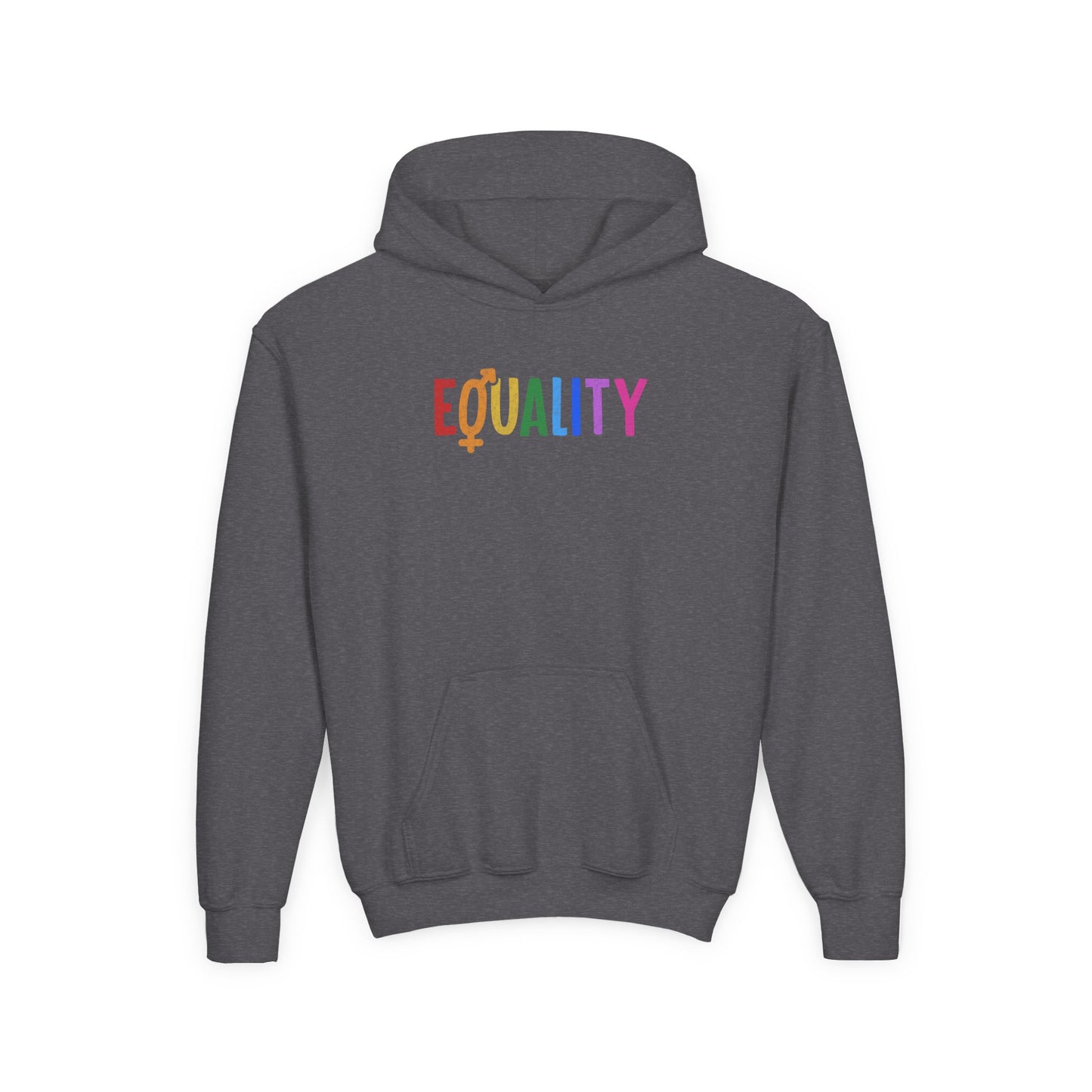 “LGBTQIA+ Equality” Youth Hoodie