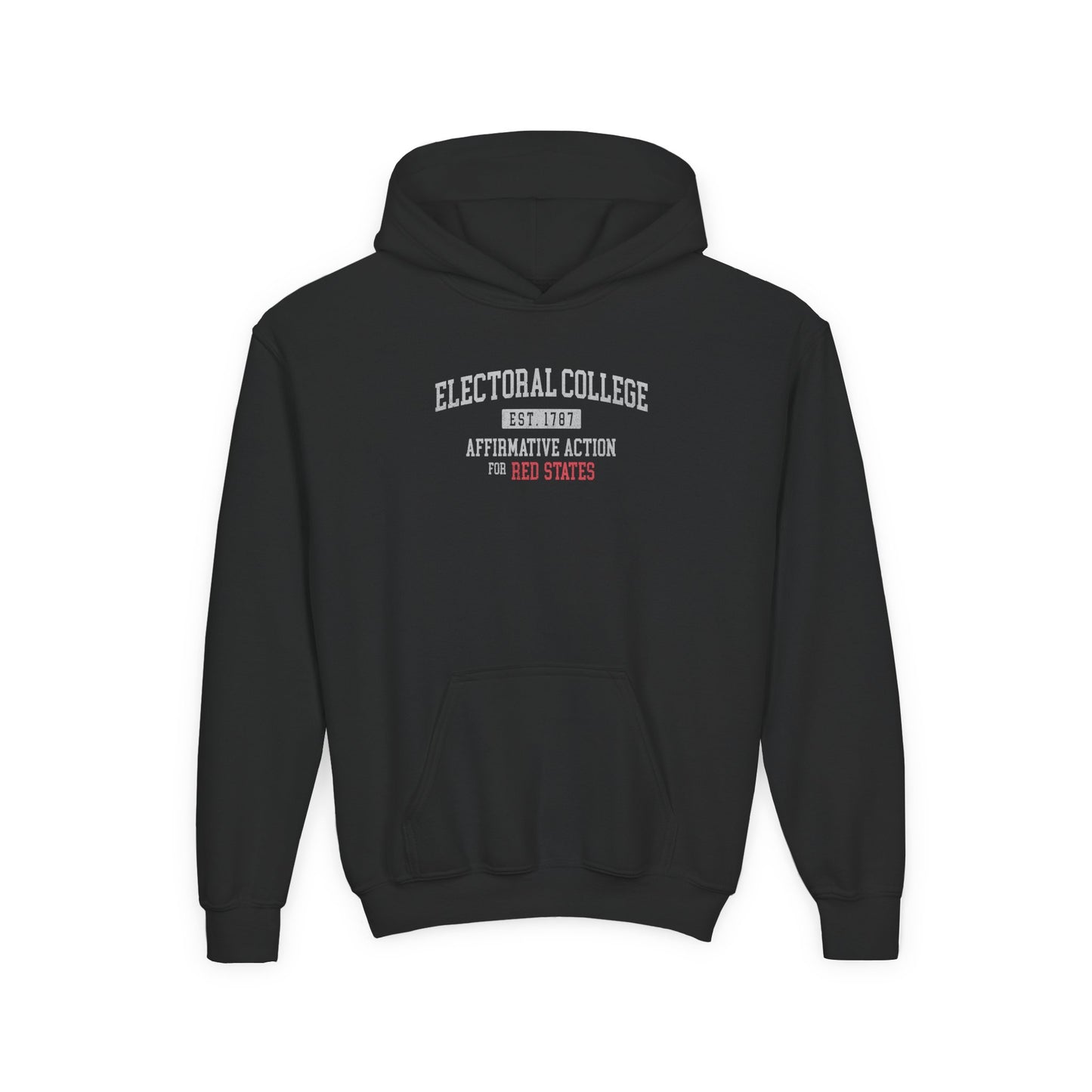 "Electoral College - Affirmative Action" Youth Hoodie