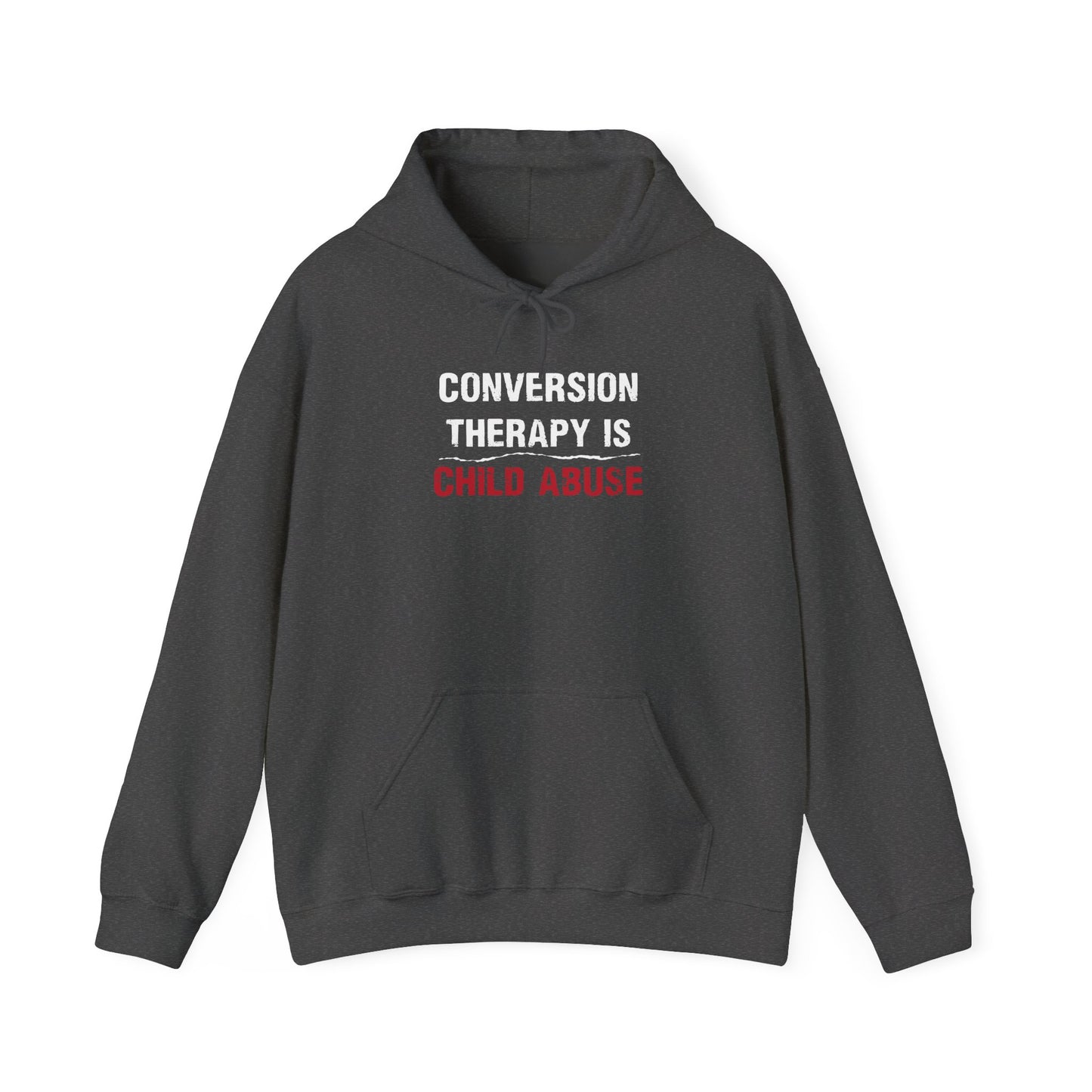 “Conversion Therapy” Unisex Hoodie