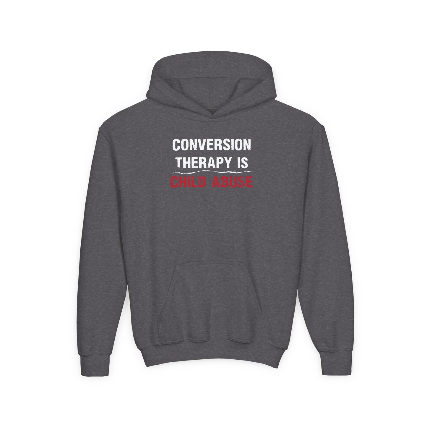 “Conversion Therapy” Youth Hoodie