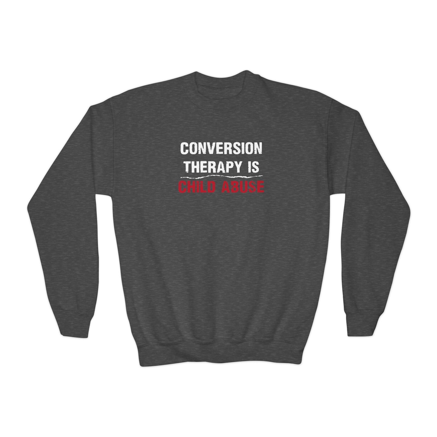“Conversion Therapy” Youth Sweatshirt