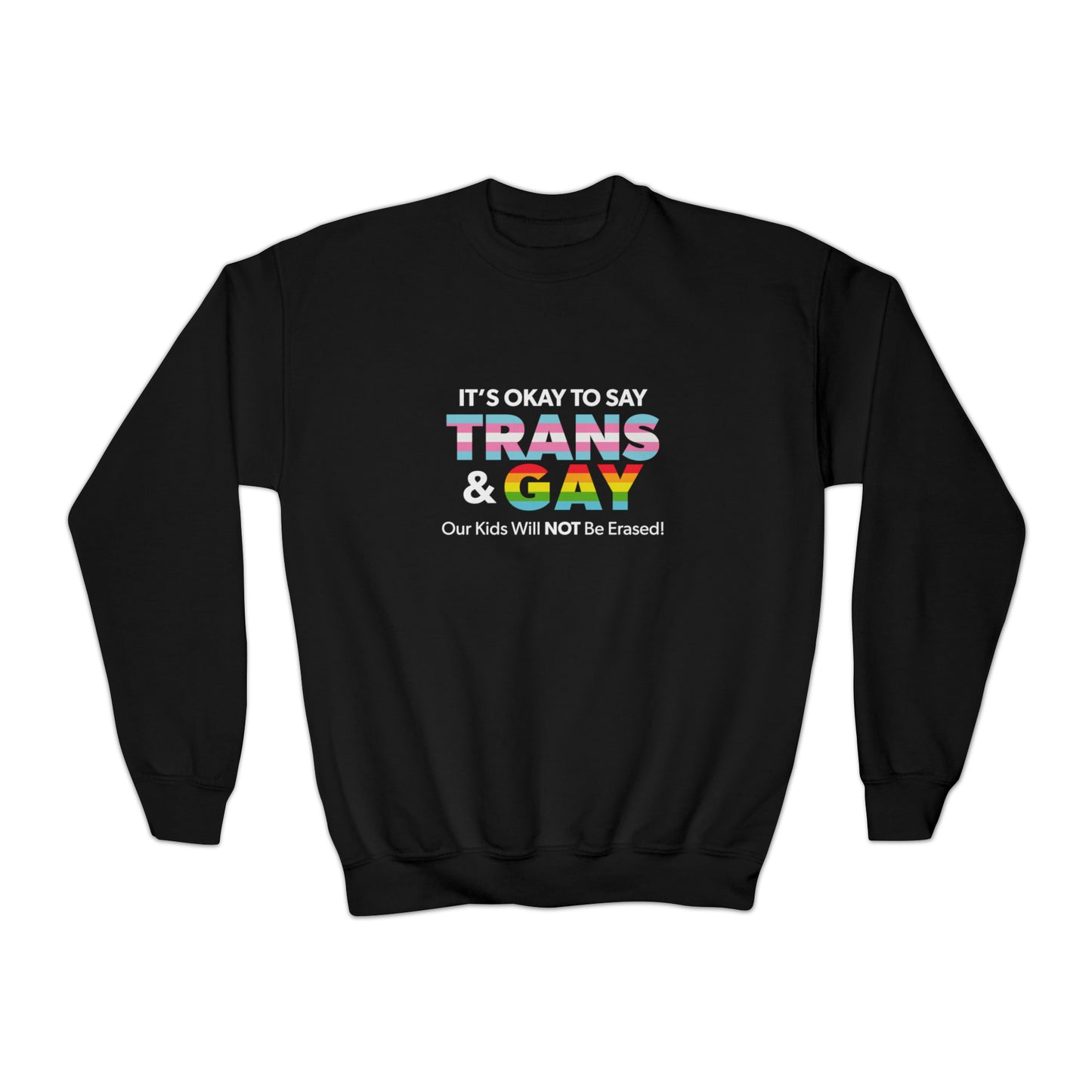 "It’s Okay to Say Trans & Gay" Youth Sweatshirt