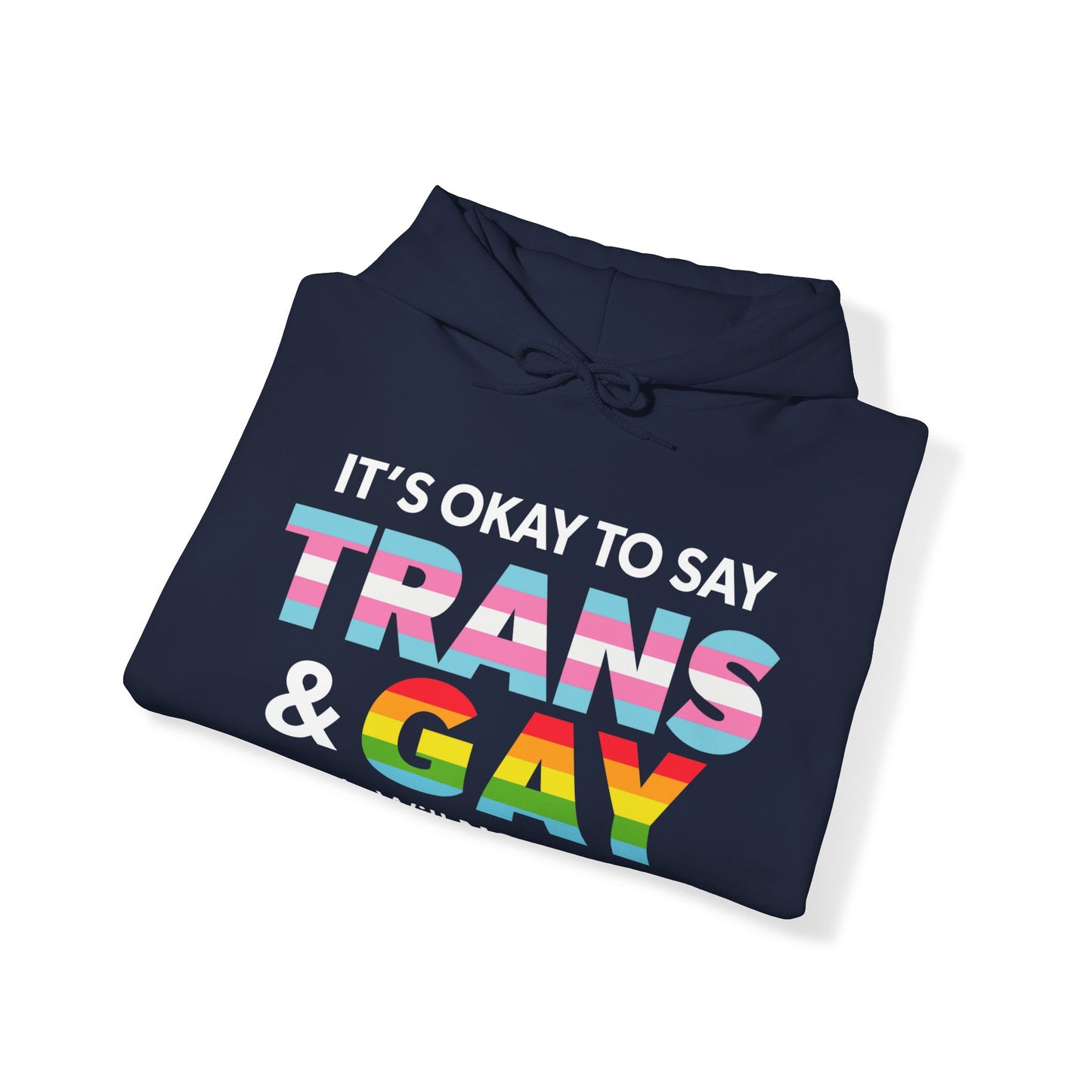 “It’s Okay to Say Trans & Gay” Unisex Hoodie