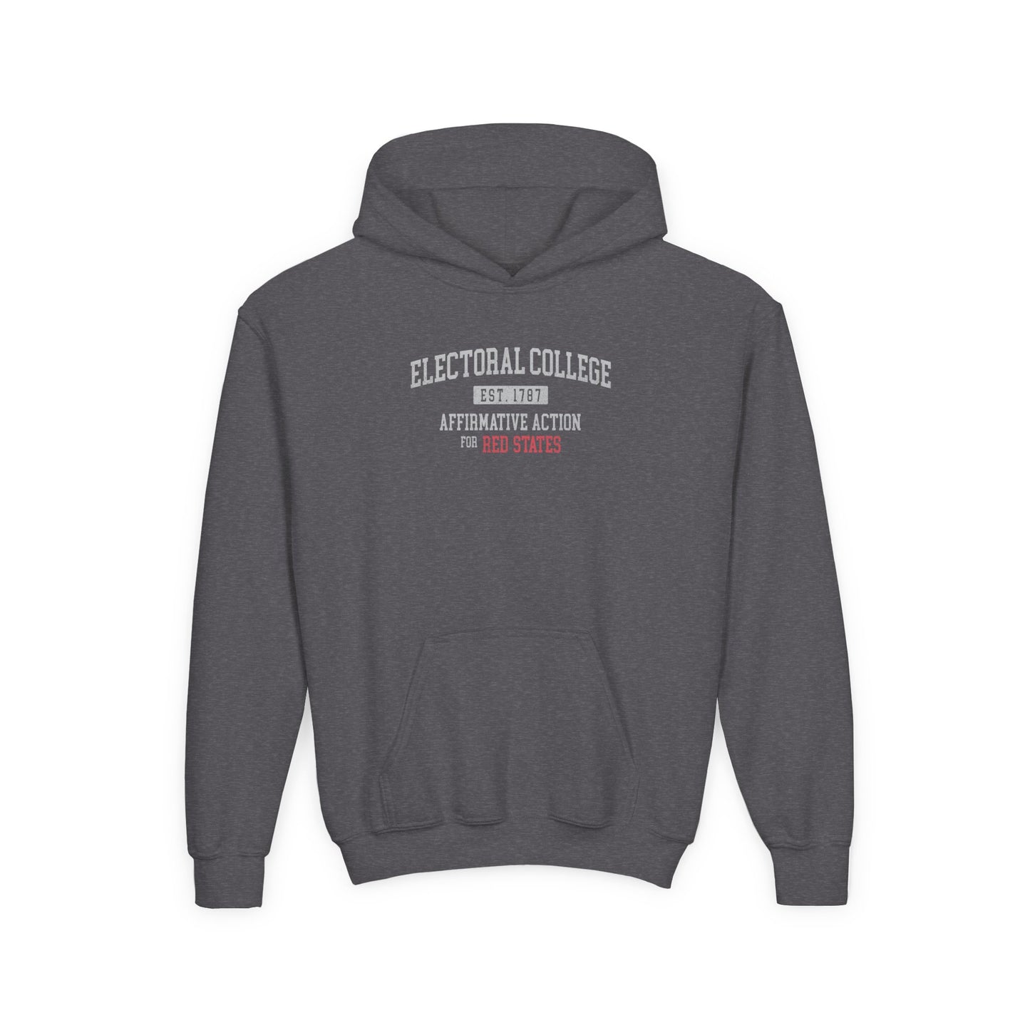 "Electoral College - Affirmative Action" Youth Hoodie
