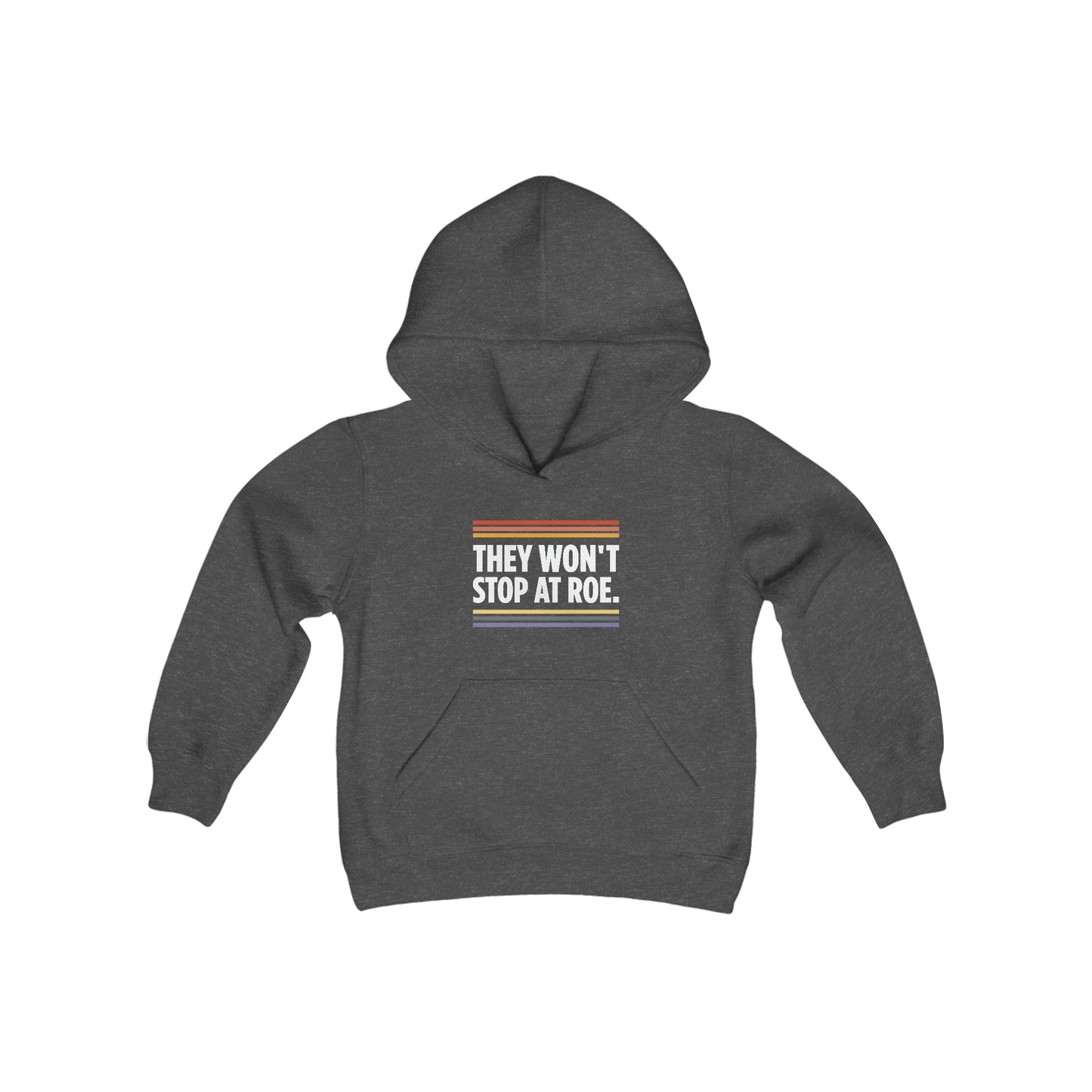 “They Won't Stop at Roe” Youth Hoodie