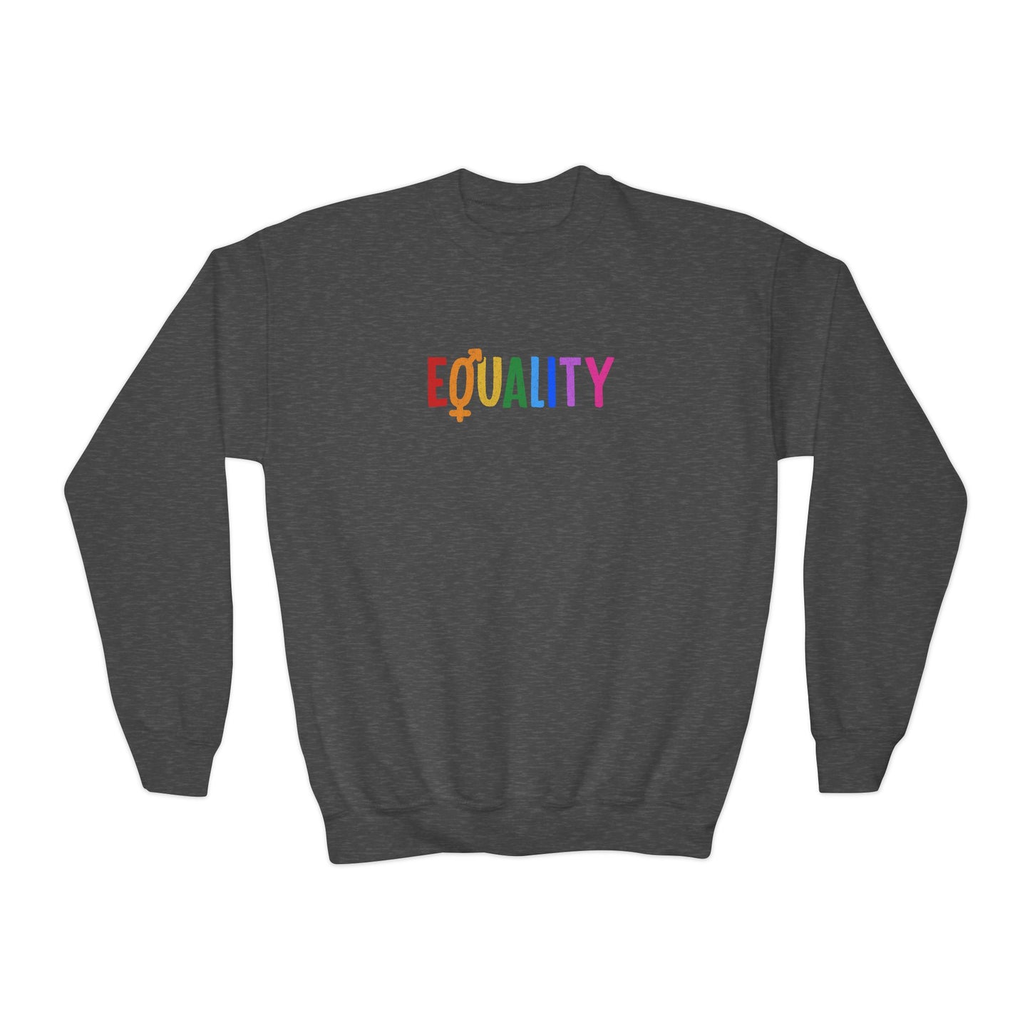 “LGBTQIA+ Equality” Youth Sweatshirt