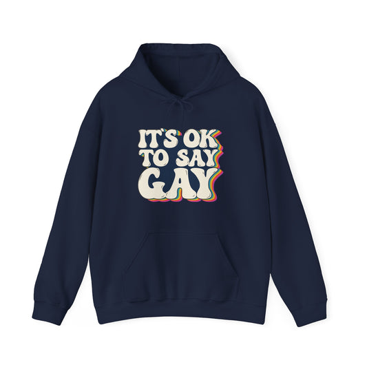 “It’s OK to Say Gay” Unisex Hoodie