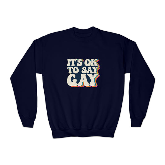 “It’s OK to Say Gay” Youth Sweatshirt