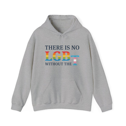 “There Is No LGB Without the T” Unisex Hoodie