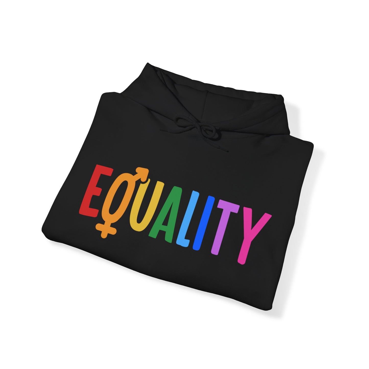 “LGBTQIA+ Equality” Unisex Hoodie