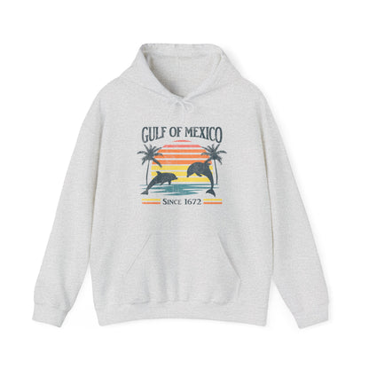 "Gulf of Mexico - Since 1672" Unisex Hoodie