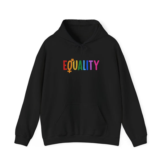 “LGBTQIA+ Equality” Unisex Hoodie