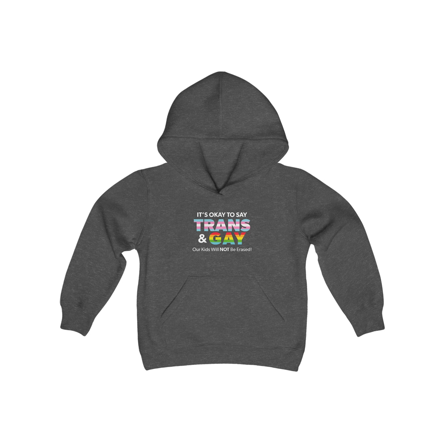 “It’s Okay to Say Trans & Gay” Youth Hoodie