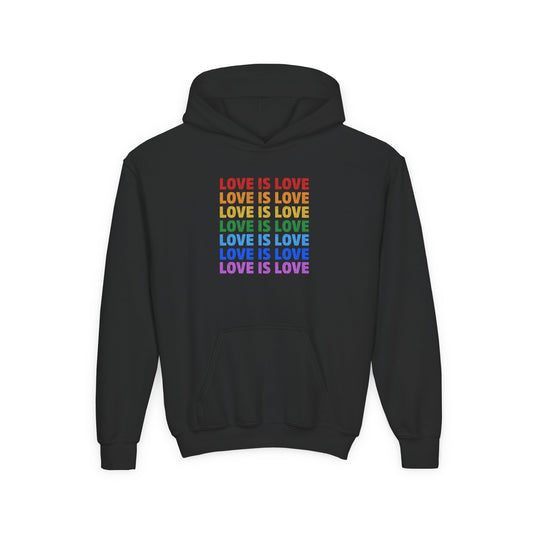 “Love is Love” Youth Hoodie