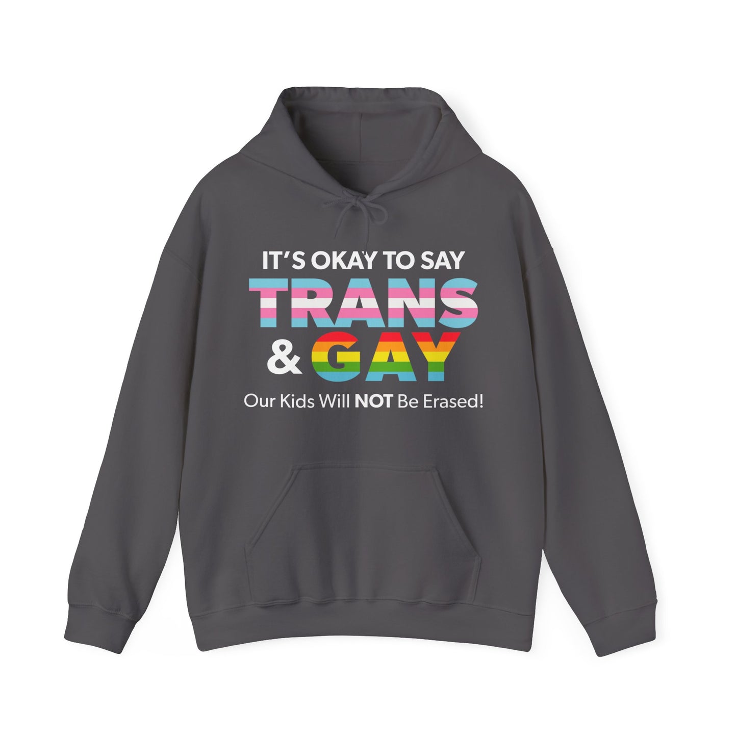 “It’s Okay to Say Trans & Gay” Unisex Hoodie