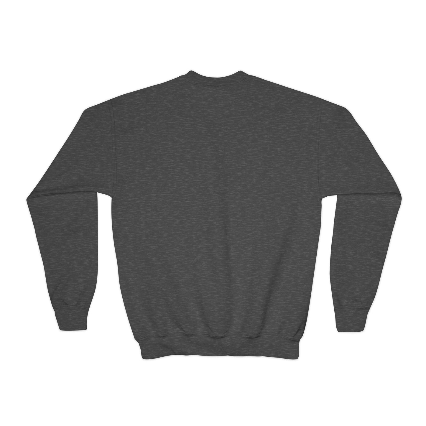 “Black Lives Matter” Youth Sweatshirt