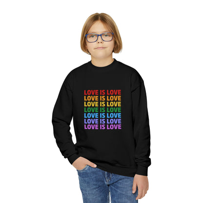 “Love is Love”  Youth Sweatshirt