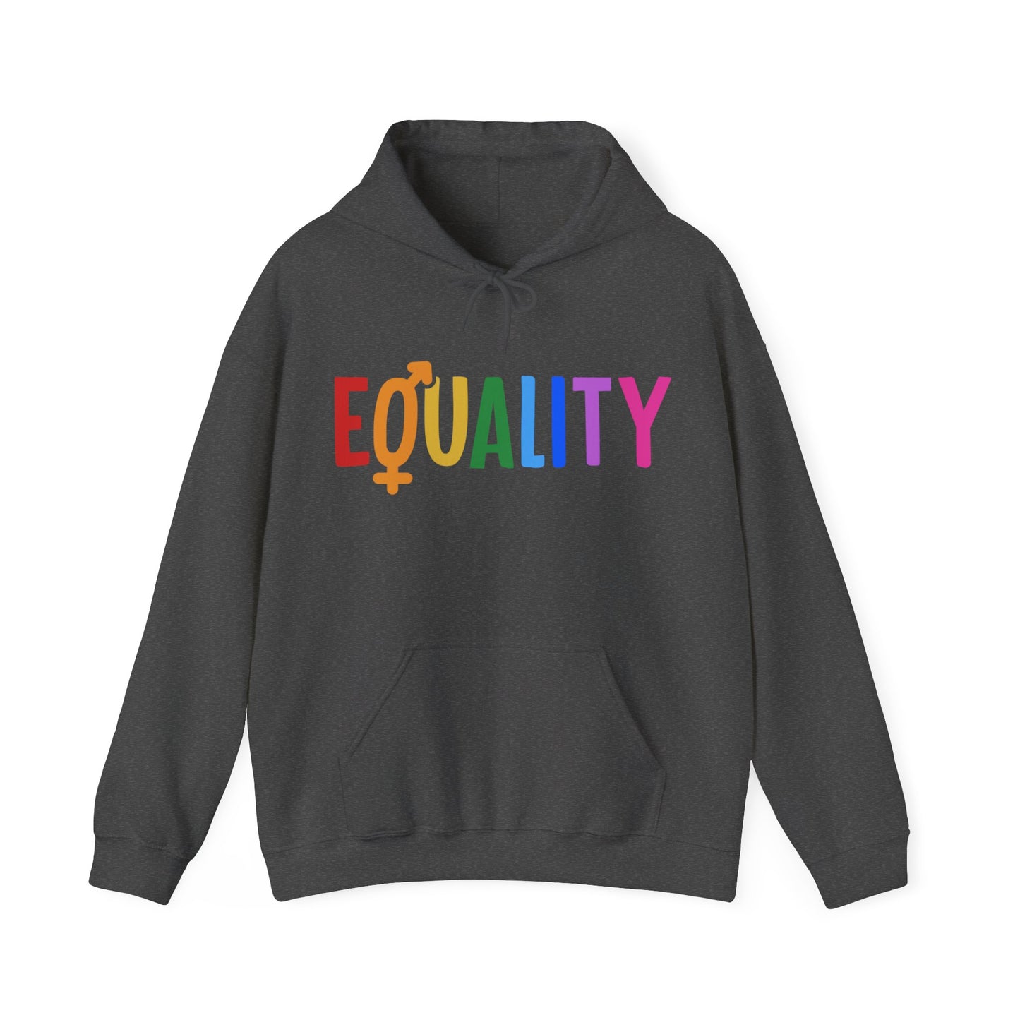 “LGBTQIA+ Equality” Unisex Hoodie