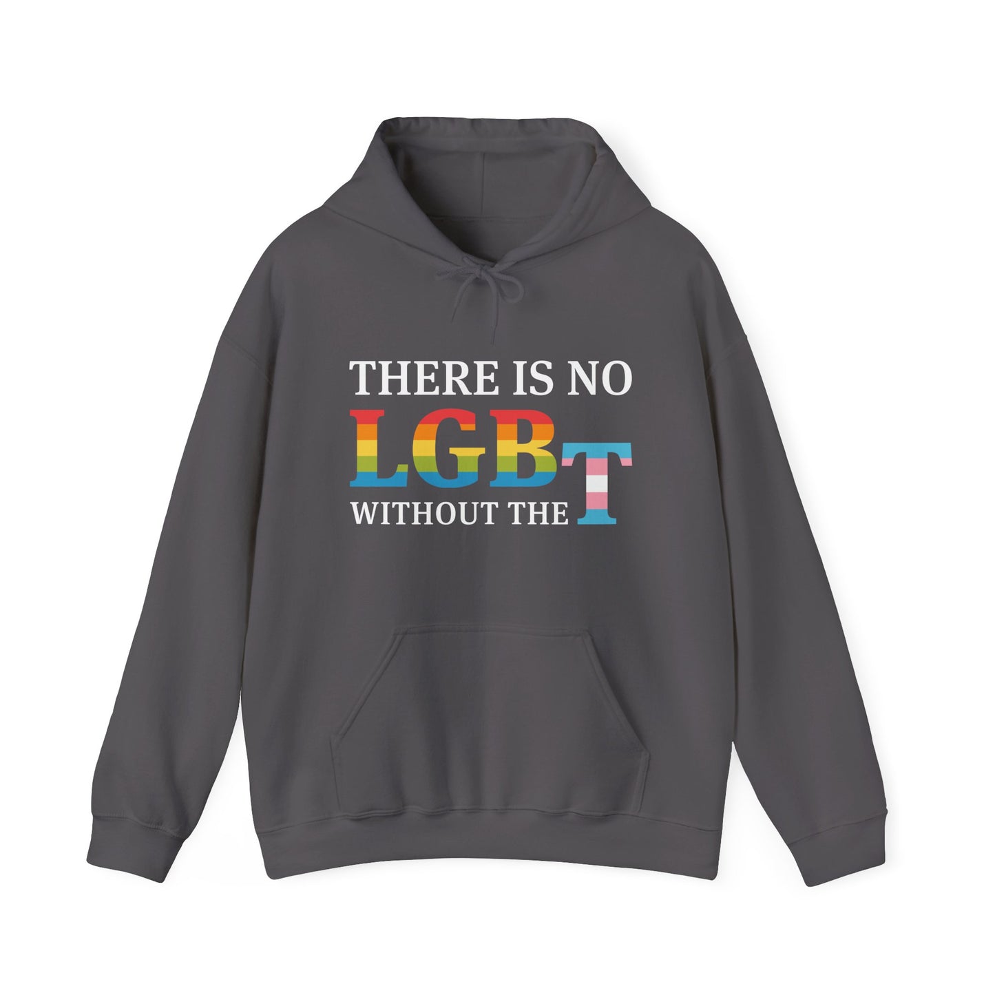 “There Is No LGB Without the T” Unisex Hoodie