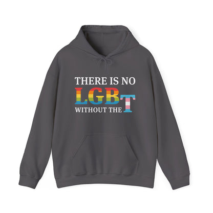 “There Is No LGB Without the T” Unisex Hoodie