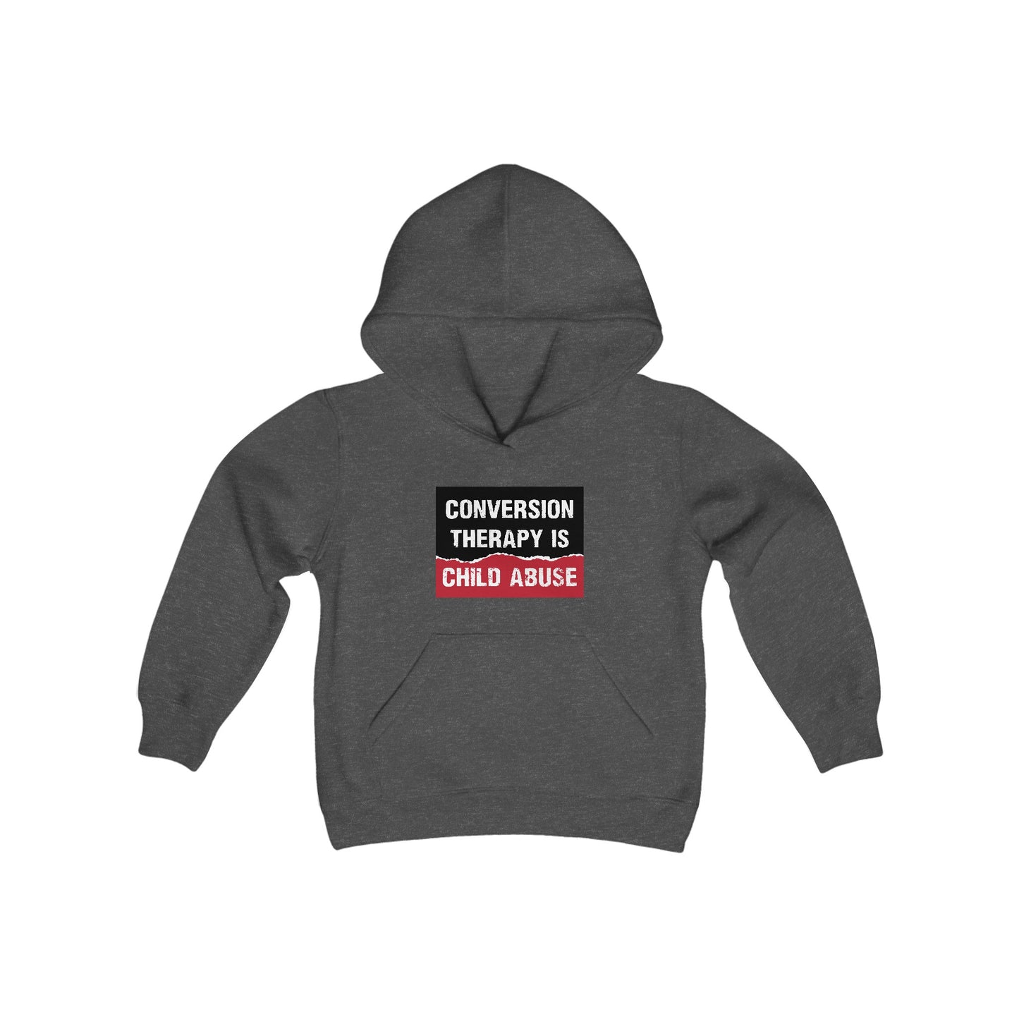 “Conversion Therapy” Youth Hoodie