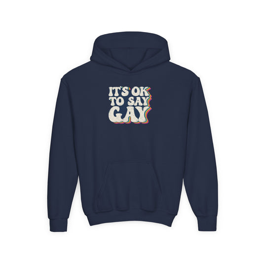 “It’s OK to Say Gay” Youth Hoodie
