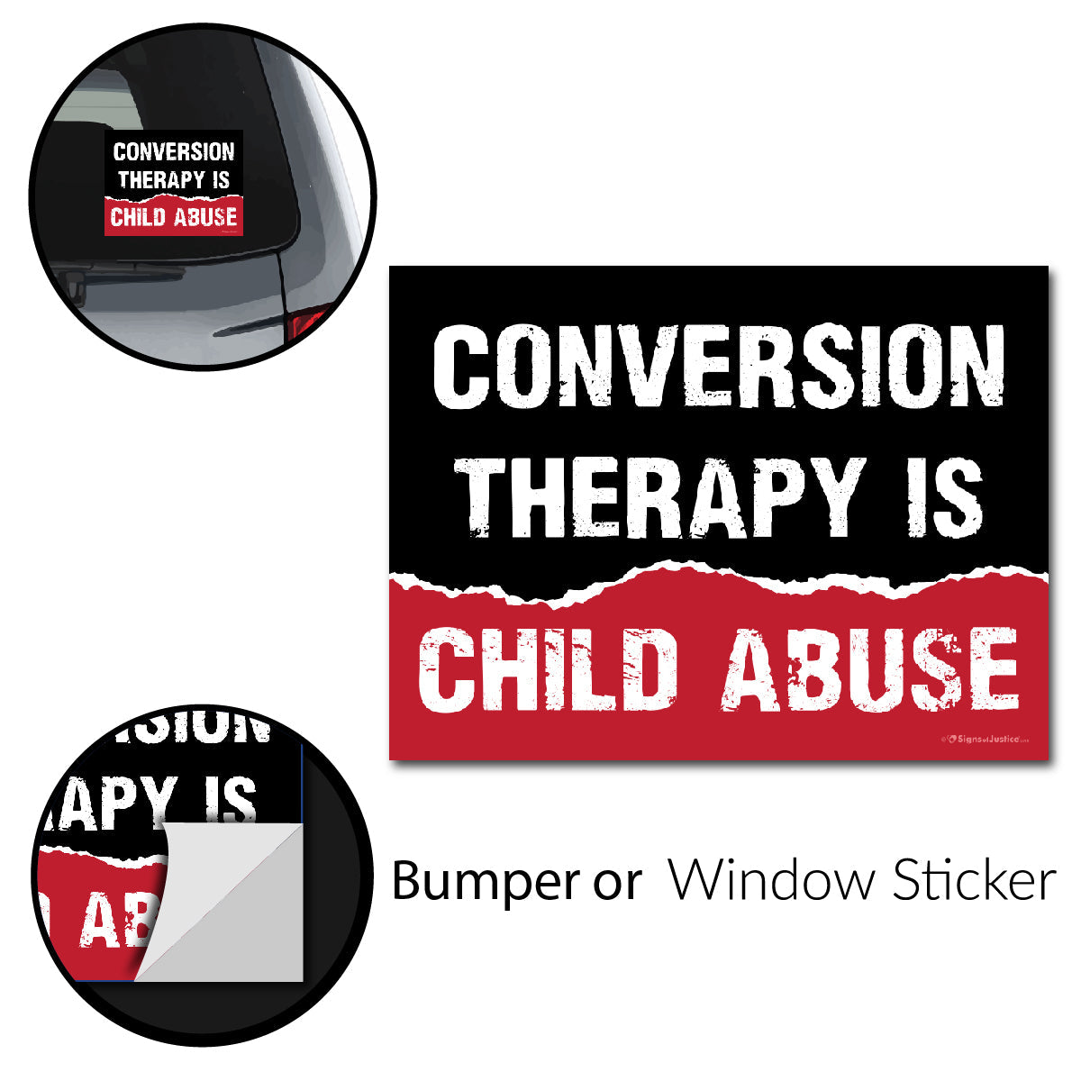 Conversion Therapy Bumper Stickers