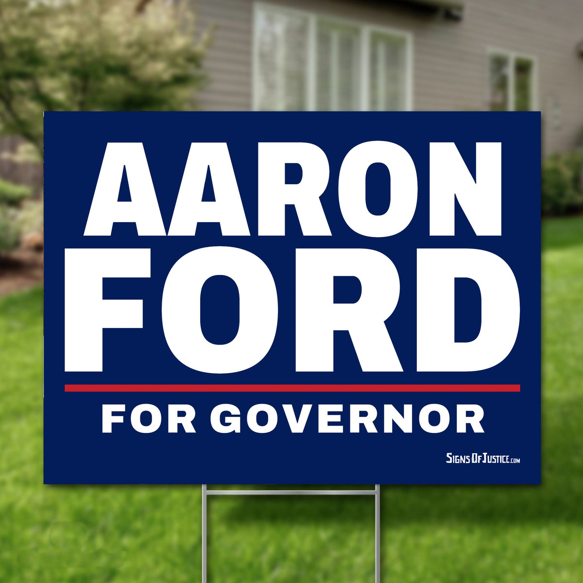 Aaron Ford 24"x18" yard sign