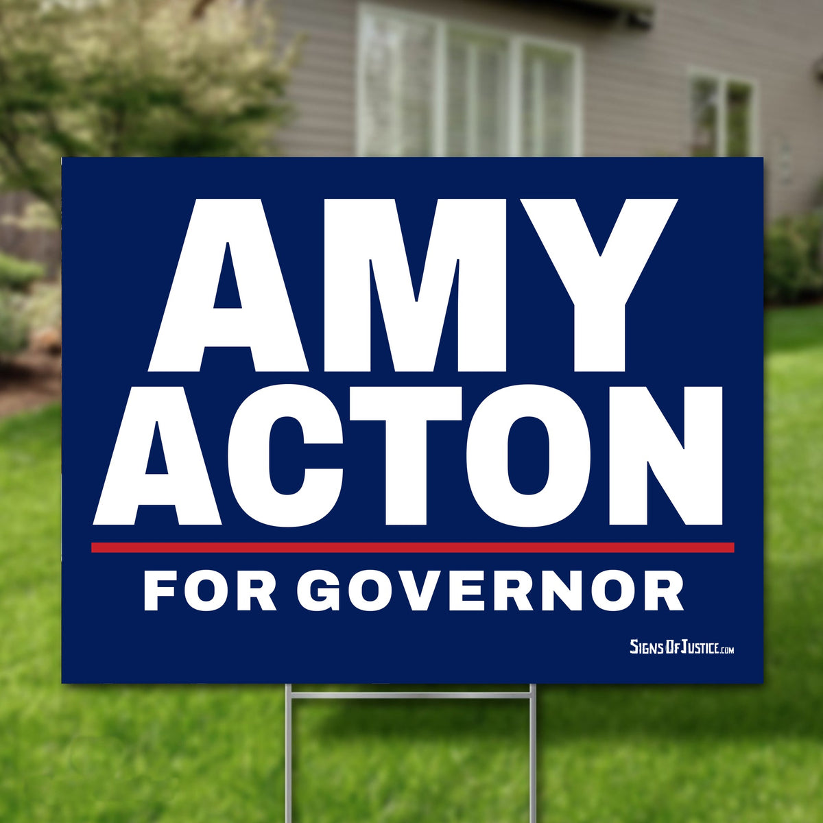 Amy Acton 24"x18" yard sign