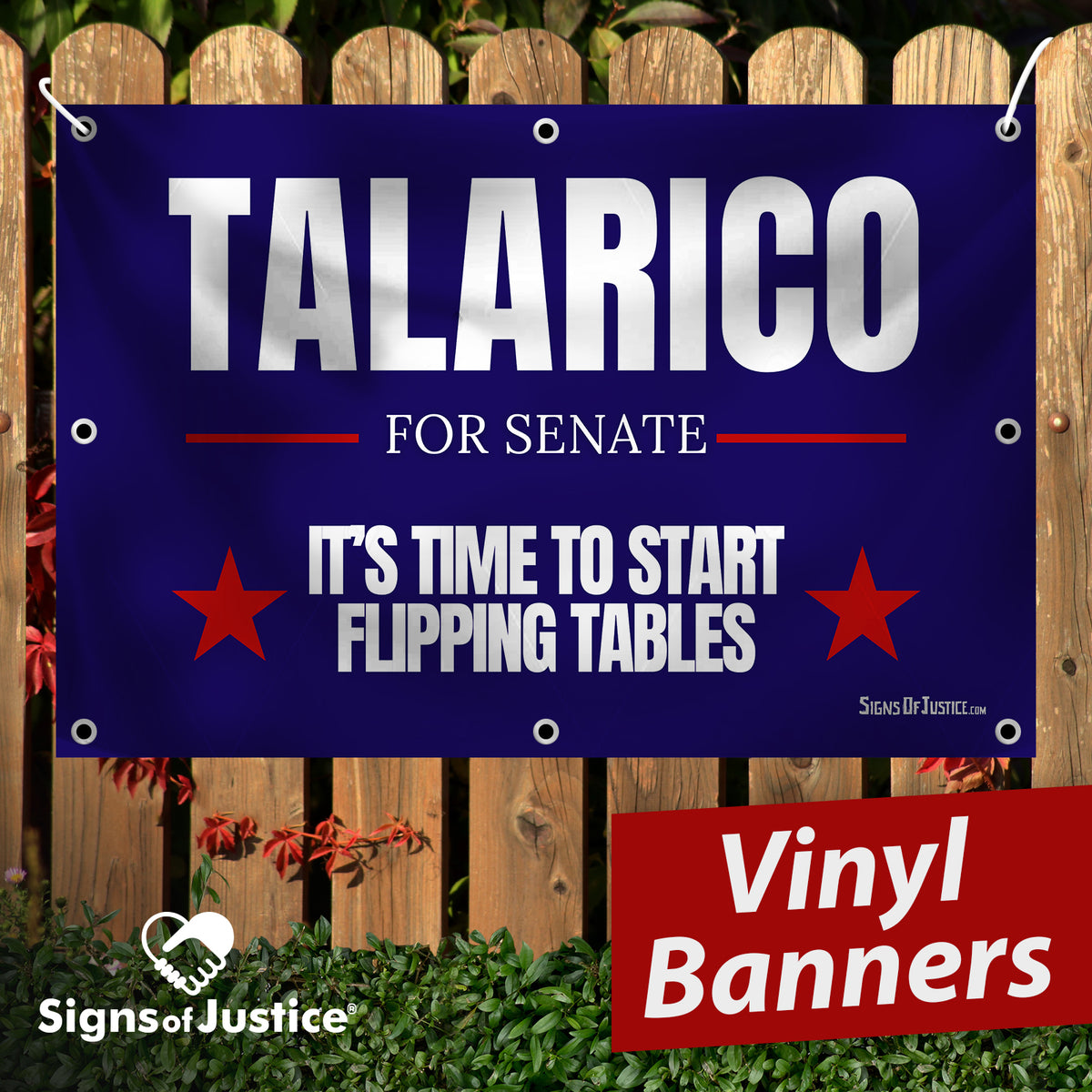 "Talarico for Senate" Vinyl Banner