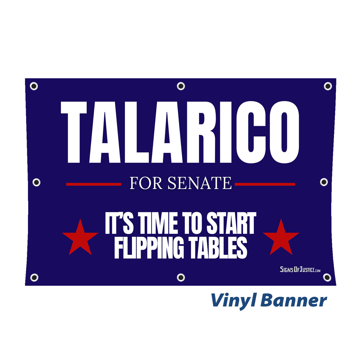 "Talarico for Senate" Vinyl Banner