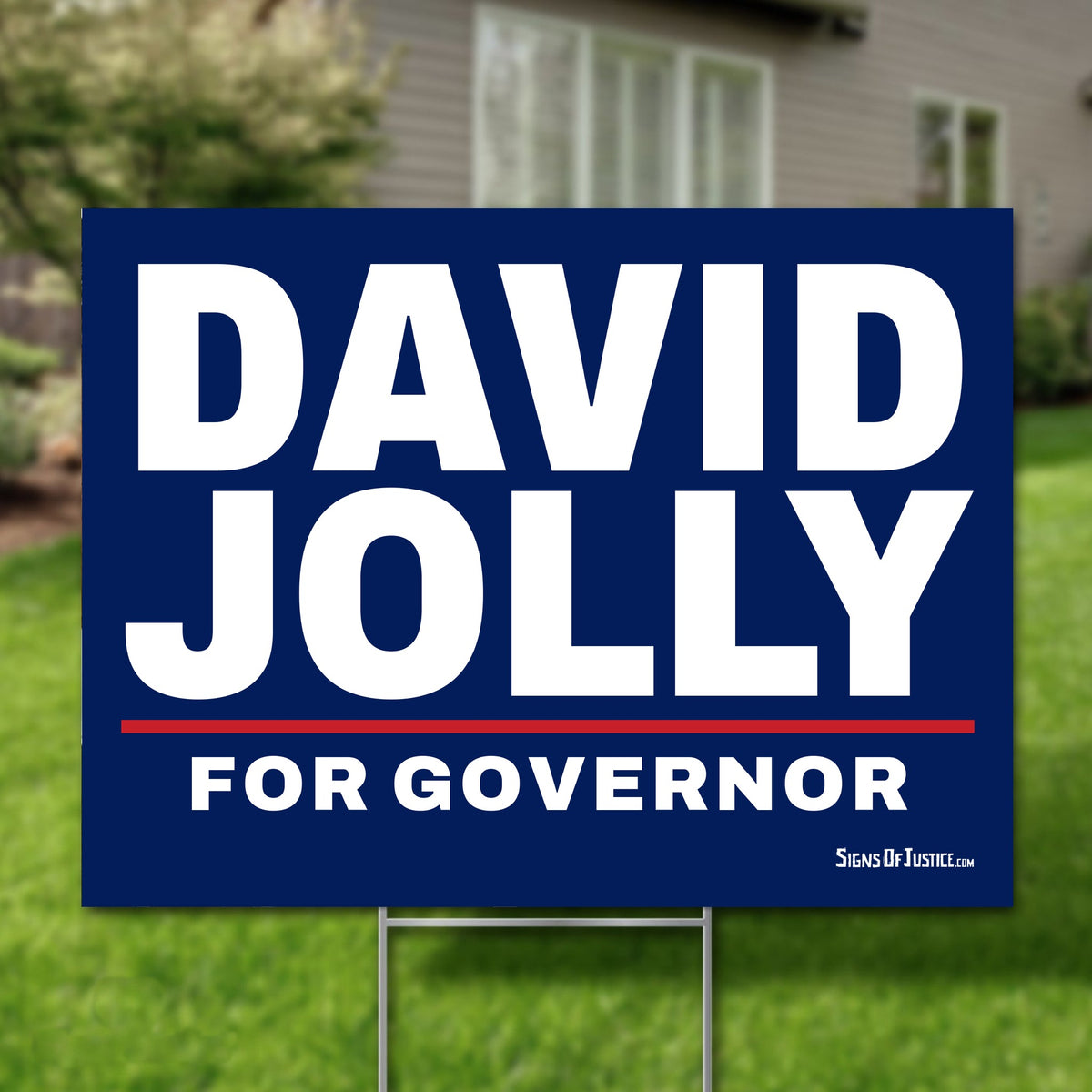 David Jolly 24"x18" yard sign