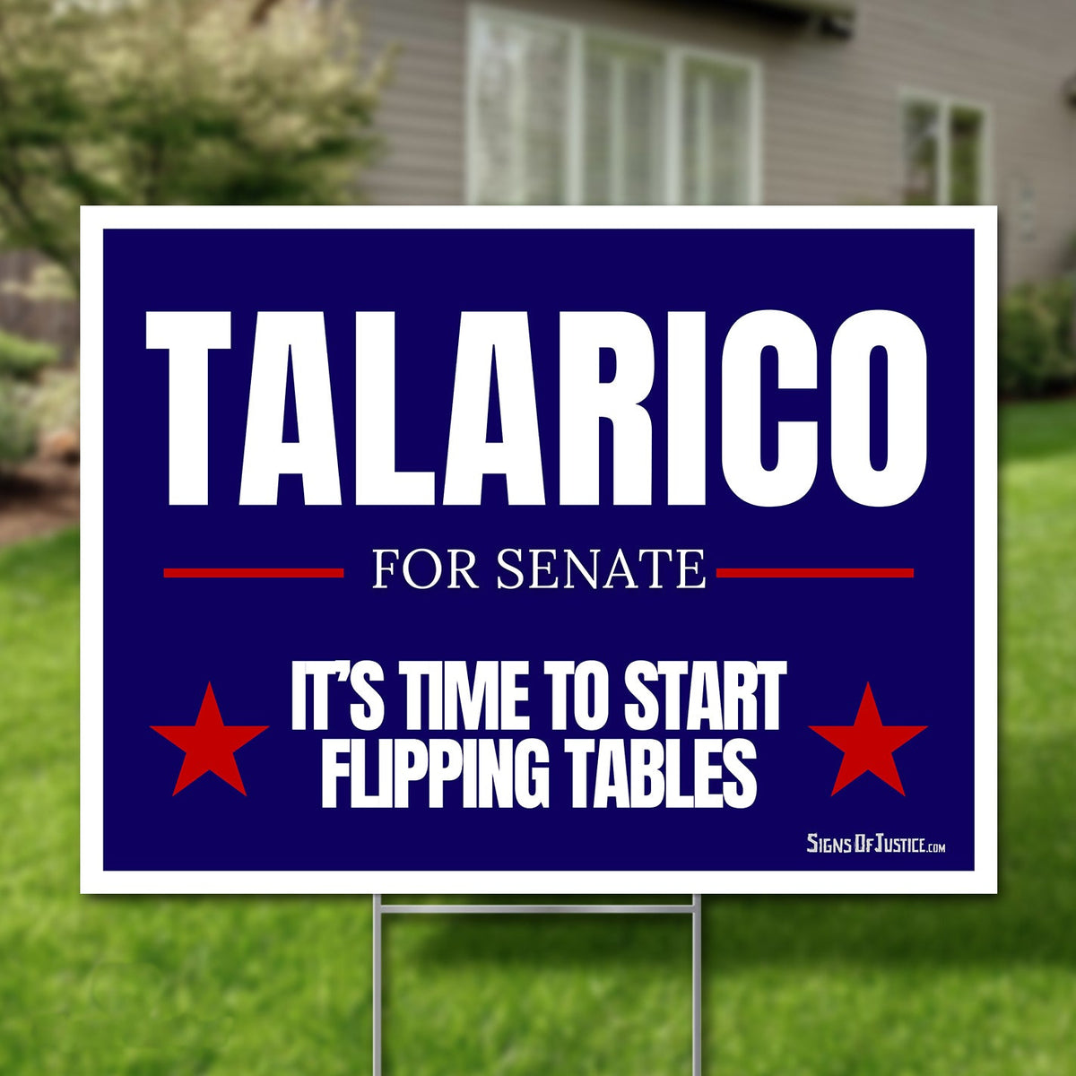 James Talarico for U.S. Senate 2026 yard sign, navy with stars